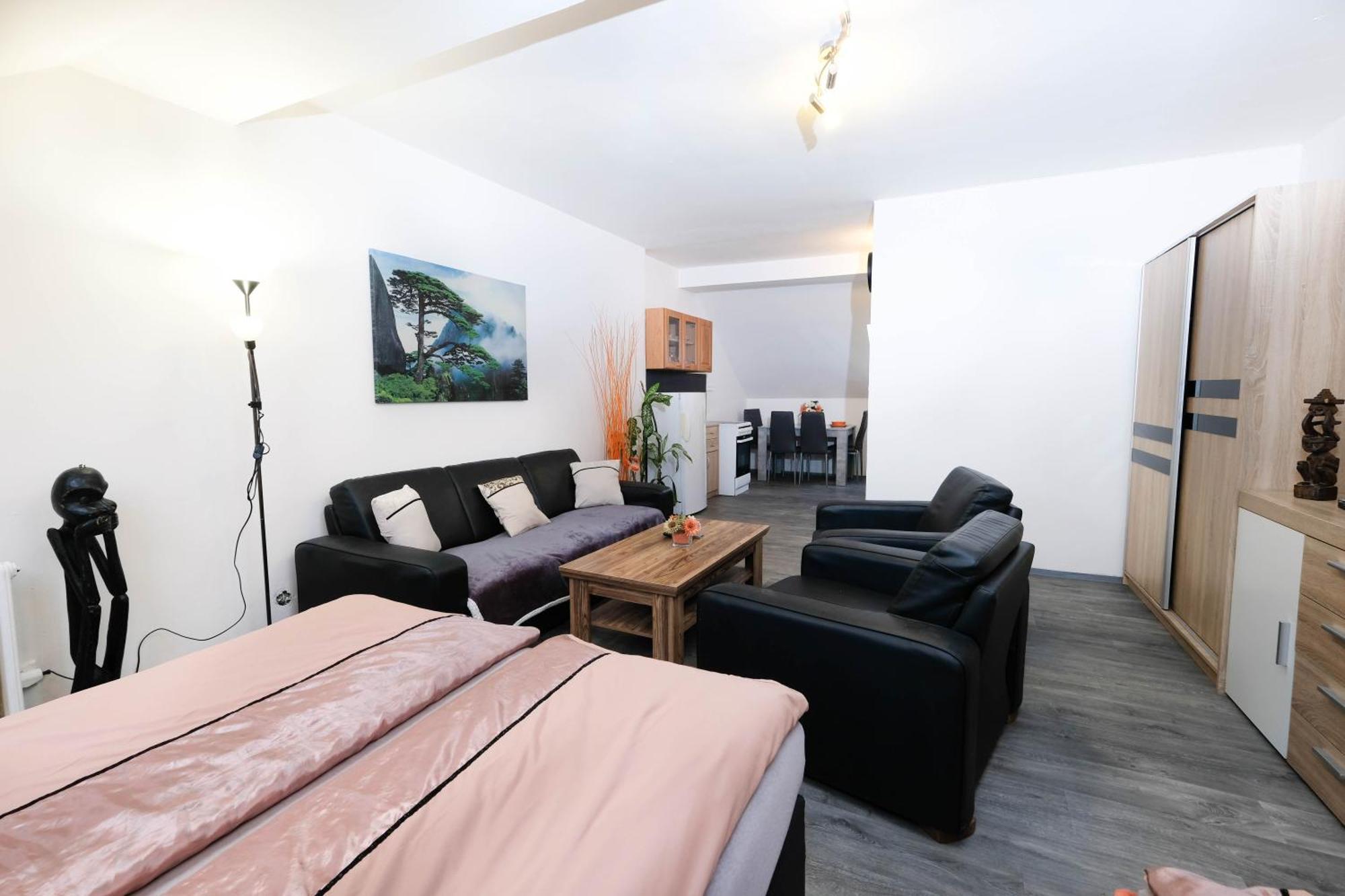 Apartments Alena - 卡罗维发利 外观 照片