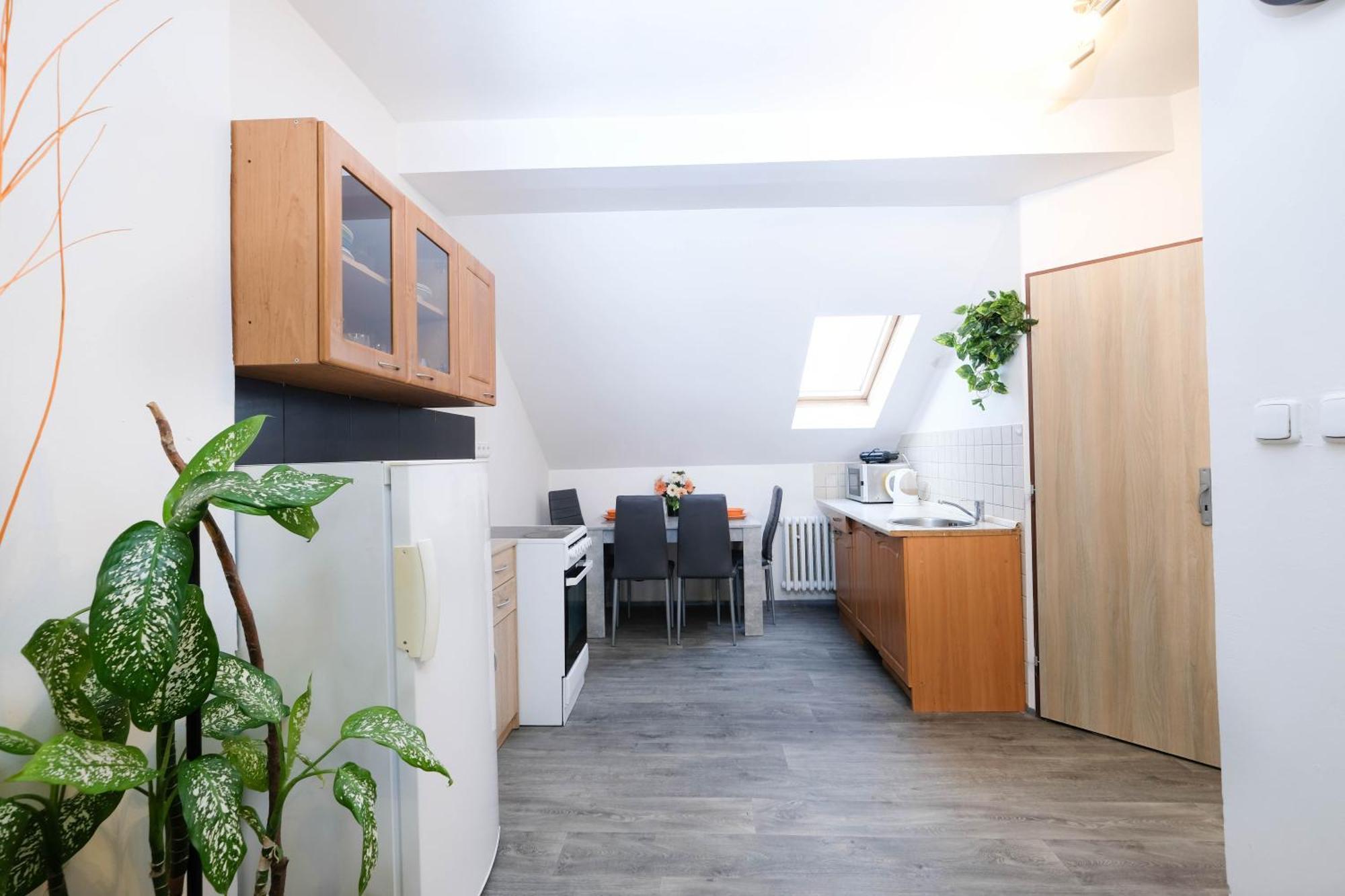 Apartments Alena - 卡罗维发利 外观 照片
