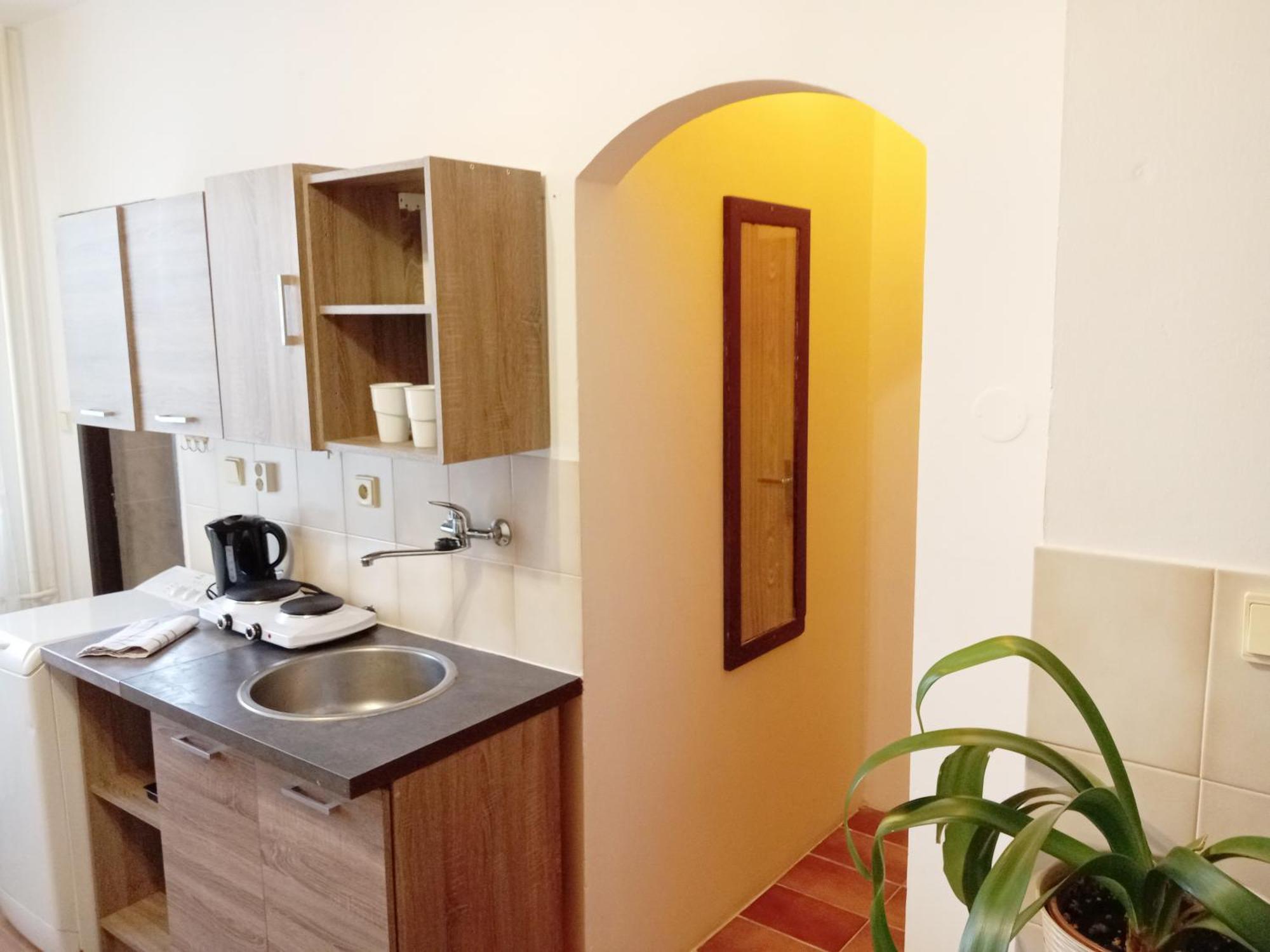 Apartments Alena - 卡罗维发利 客房 照片