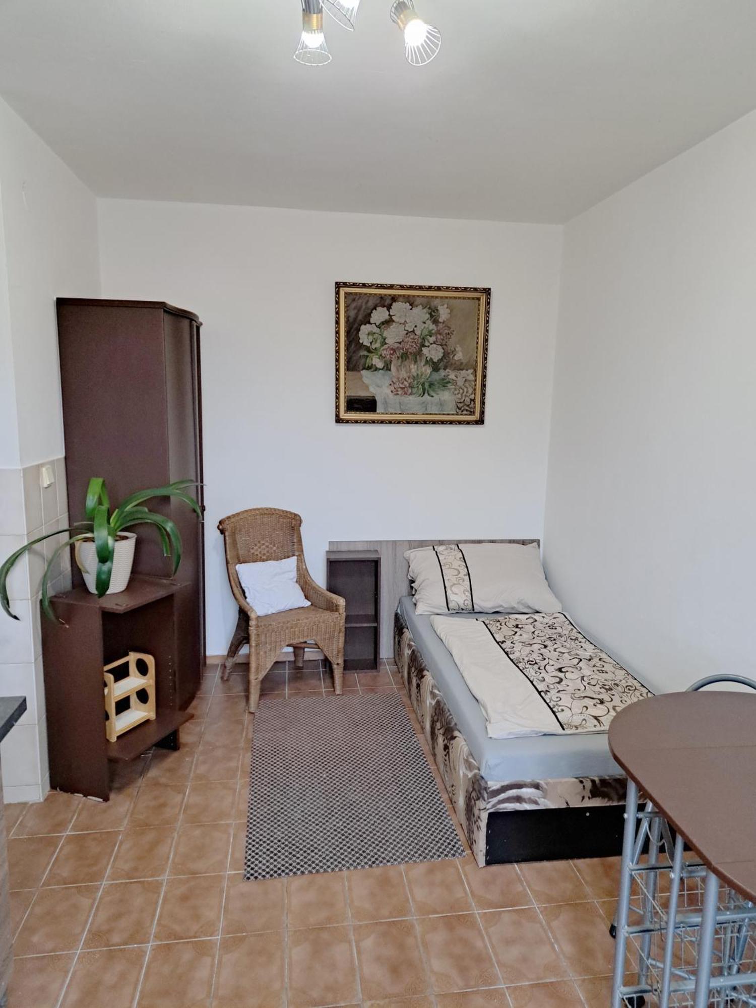 Apartments Alena - 卡罗维发利 外观 照片