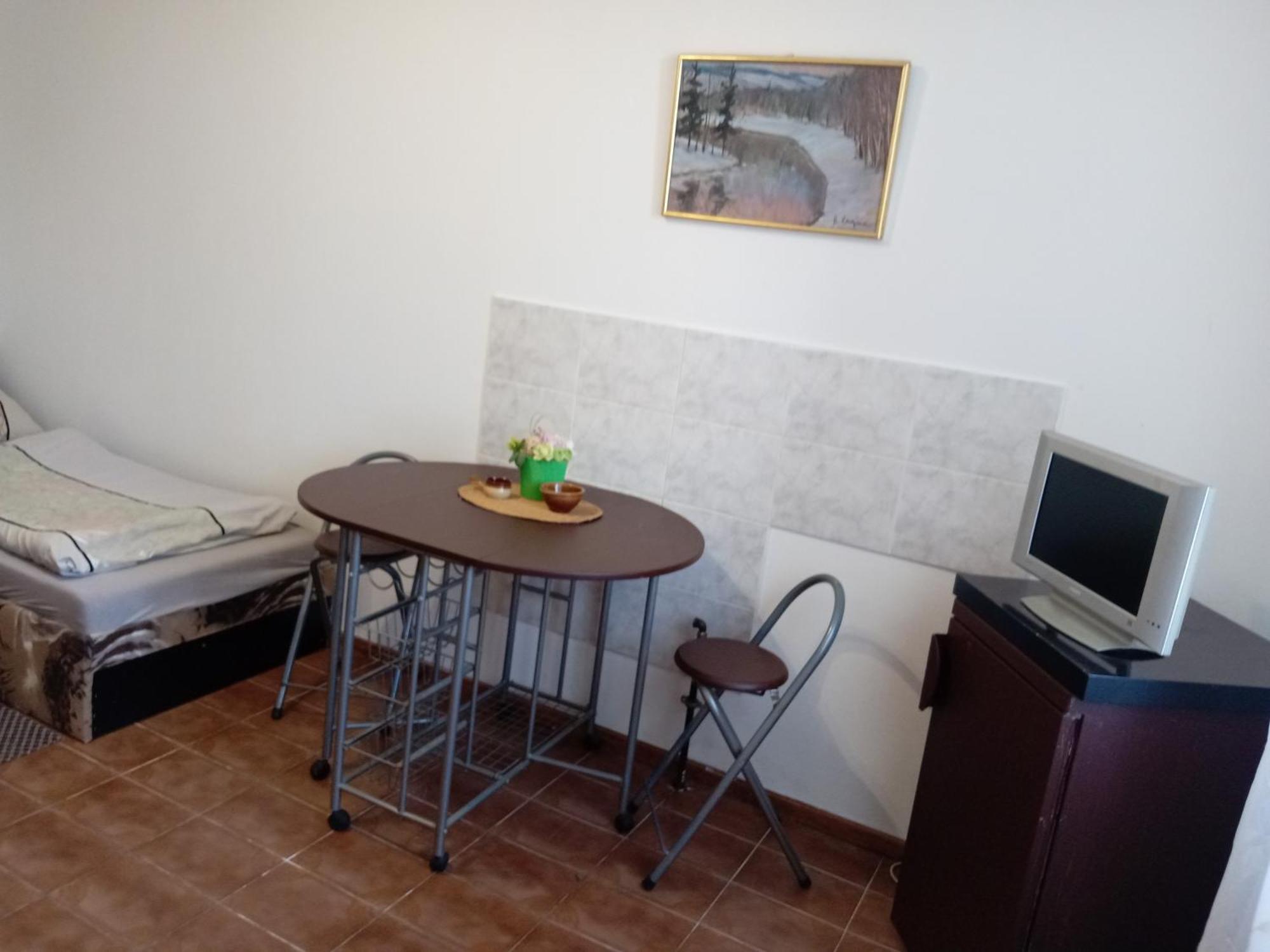 Apartments Alena - 卡罗维发利 客房 照片