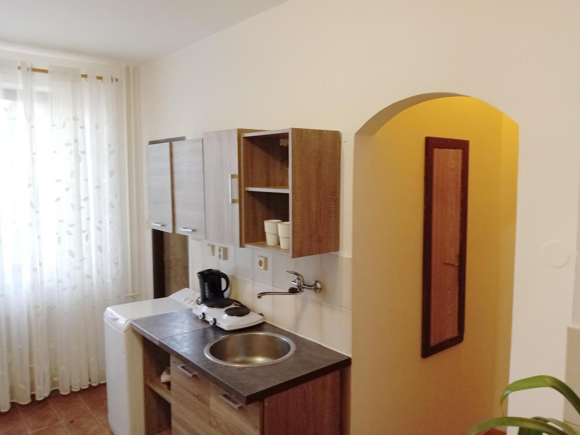 Apartments Alena - 卡罗维发利 客房 照片